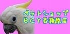 BCY各務原店 120×60.jpg